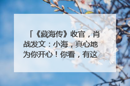 《藏海传》收官，肖战发文：小海，真心地为你开心！你看，有这么多人懂你！