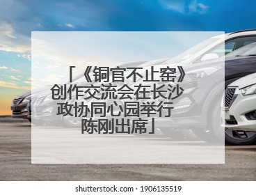 《铜官不止窑》创作交流会在长沙政协同心园举行 陈刚出席
