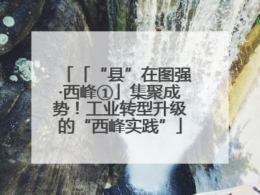 「“县”在图强·西峰①」集聚成势！工业转型升级的“西峰实践”