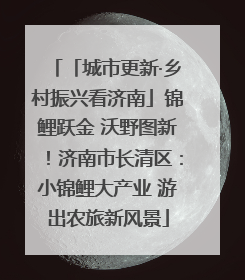 「城市更新·乡村振兴看济南」锦鲤跃金 沃野图新！济南市长清区：小锦鲤大产业 游出农旅新风景