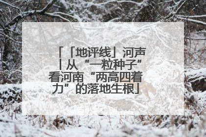 「地评线」河声丨从“一粒种子”看河南“两高四着力”的落地生根