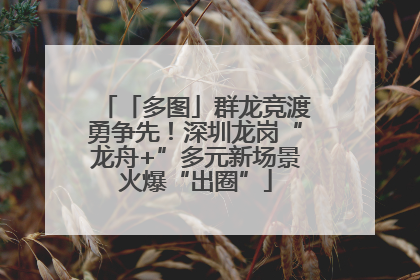 「多图」群龙竞渡勇争先！深圳龙岗“龙舟+”多元新场景火爆“出圈”