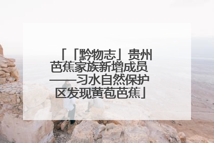 「黔物志」贵州芭蕉家族新增成员——习水自然保护区发现黄苞芭蕉