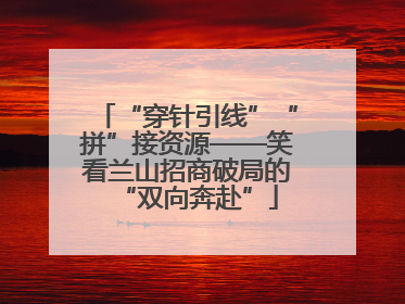 “穿针引线”“拼”接资源——笑看兰山招商破局的“双向奔赴”