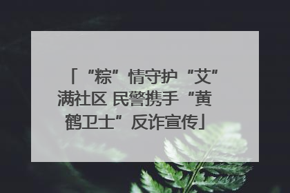 “粽”情守护“艾”满社区 民警携手“黄鹤卫士”反诈宣传