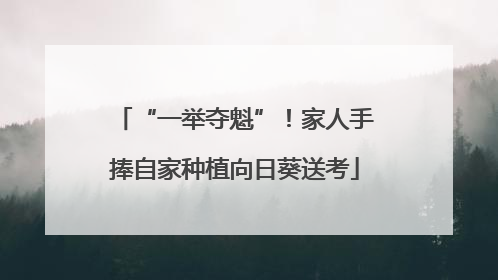 “一举夺魁”！家人手捧自家种植向日葵送考