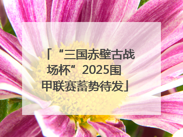 “三国赤壁古战场杯”2025围甲联赛蓄势待发