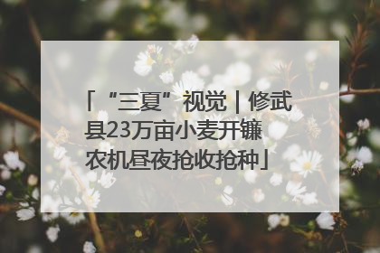“三夏”视觉｜修武县23万亩小麦开镰 农机昼夜抢收抢种