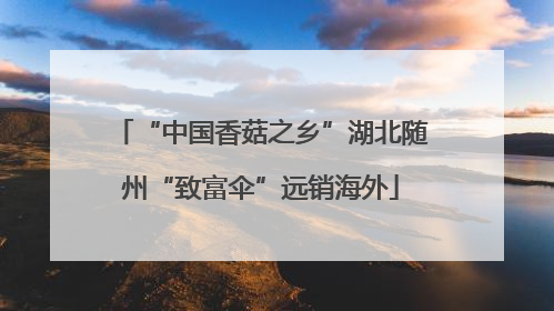 “中国香菇之乡”湖北随州“致富伞”远销海外