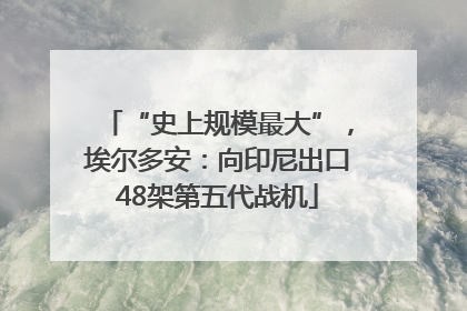 “史上规模最大”，埃尔多安：向印尼出口48架第五代战机