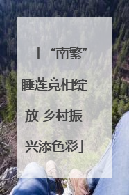 “南繁”睡莲竞相绽放 乡村振兴添色彩