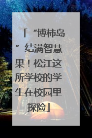 “博柿岛”结满智慧果！松江这所学校的学生在校园里探险