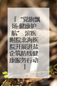 “党旗飘扬·健康护航” 滨医附院北海医院开展进盐企筑防线健康服务行动