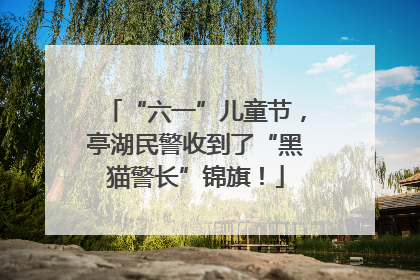 “六一”儿童节，亭湖民警收到了“黑猫警长”锦旗！