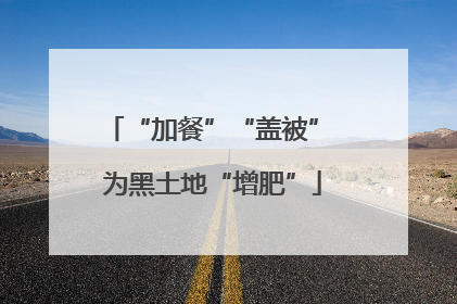 “加餐”“盖被” 为黑土地“增肥”