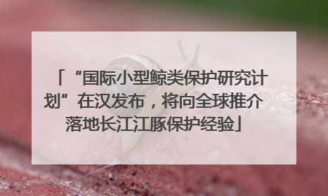 “国际小型鲸类保护研究计划”在汉发布，将向全球推介落地长江江豚保护经验