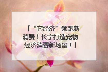“它经济”领跑新消费！长宁打造宠物经济消费新场景！