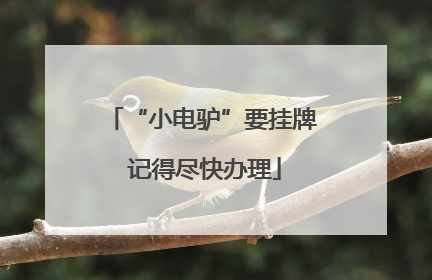 “小电驴”要挂牌 记得尽快办理