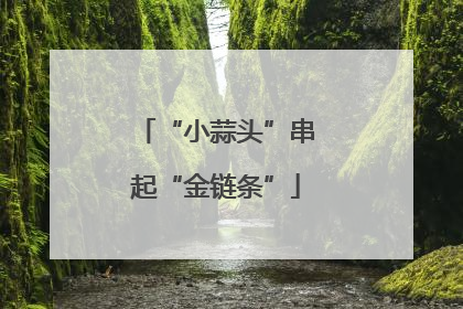 “小蒜头”串起“金链条”