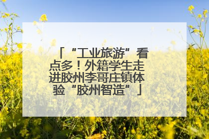 “工业旅游”看点多！外籍学生走进胶州李哥庄镇体验“胶州智造”