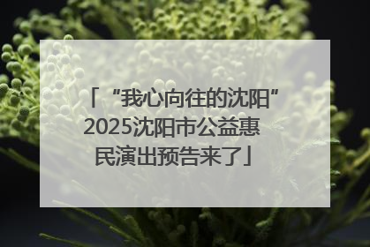 “我心向往的沈阳”2025沈阳市公益惠民演出预告来了