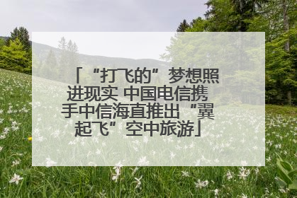“打飞的”梦想照进现实 中国电信携手中信海直推出“翼起飞”空中旅游