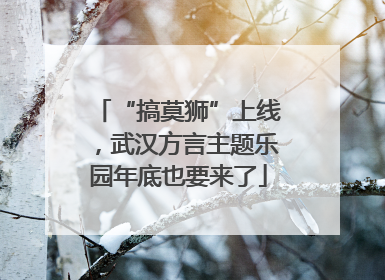 “搞莫狮”上线，武汉方言主题乐园年底也要来了