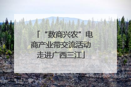 “数商兴农”电商产业带交流活动走进广西三江
