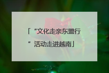 “文化走亲东盟行”活动走进越南