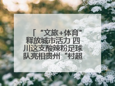 “文旅+体育”释放城市活力 四川这支酸辣粉足球队亮相贵州“村超”后收到感谢信