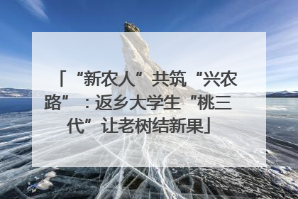 “新农人”共筑“兴农路”：返乡大学生“桃三代”让老树结新果