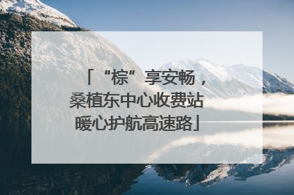“棕”享安畅，桑植东中心收费站暖心护航高速路