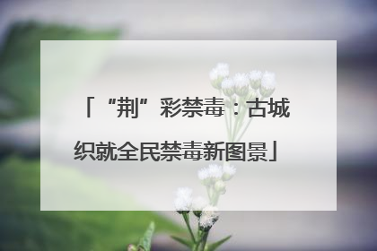 “荆”彩禁毒：古城织就全民禁毒新图景