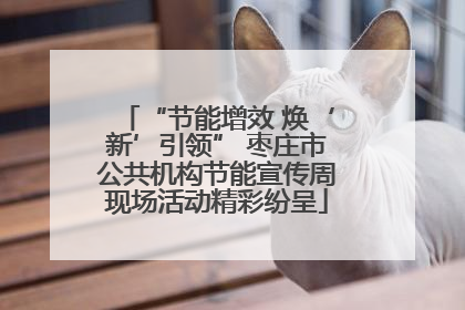“节能增效 焕‘新’引领” 枣庄市公共机构节能宣传周现场活动精彩纷呈