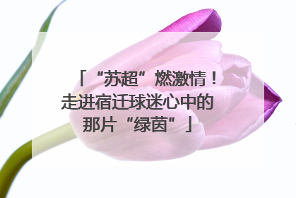 “苏超”燃激情！走进宿迁球迷心中的那片“绿茵”
