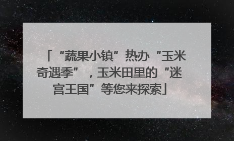 “蔬果小镇”热办“玉米奇遇季”，玉米田里的“迷宫王国”等您来探索