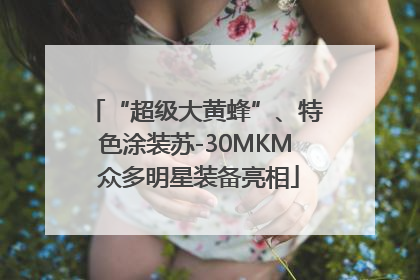 “超级大黄蜂”、特色涂装苏-30MKM 众多明星装备亮相