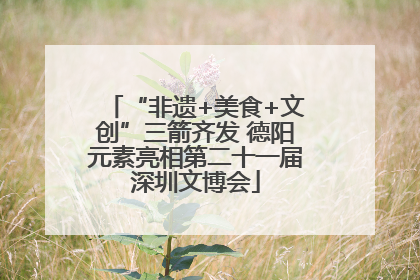 “非遗+美食+文创”三箭齐发 德阳元素亮相第二十一届深圳文博会