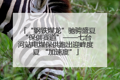 “钢铁煤龙”驰骋盛夏 “保供赛道”——七台河站电煤保供跑出迎峰度夏 “加速度”