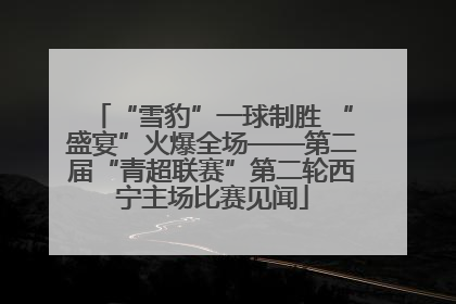 “雪豹”一球制胜 “盛宴”火爆全场——第二届“青超联赛”第二轮西宁主场比赛见闻