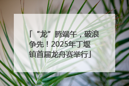 “龙”腾端午，破浪争先！2025年丁堰镇首届龙舟赛举行