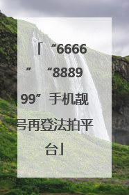 “6666”“888999”手机靓号再登法拍平台