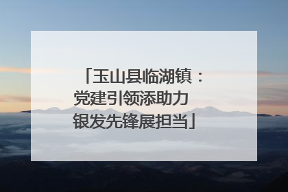 玉山县临湖镇：党建引领添助力 银发先锋展担当