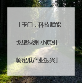 玉门：科技赋能戈壁绿洲 小院引领蜜瓜产业振兴
