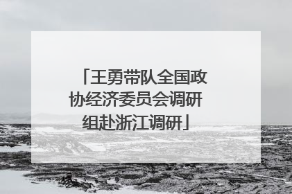 王勇带队全国政协经济委员会调研组赴浙江调研