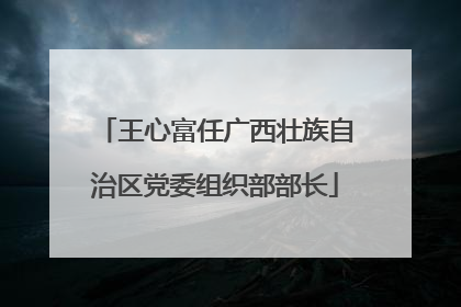 王心富任广西壮族自治区党委组织部部长