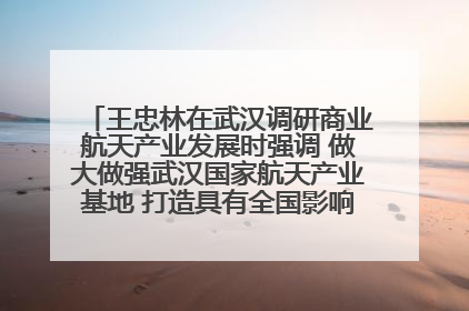 王忠林在武汉调研商业航天产业发展时强调 做大做强武汉国家航天产业基地 打造具有全国影响力的“中国星谷”