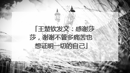 王楚钦发文：感谢莎莎，谢谢不管多痛苦也想证明一切的自己