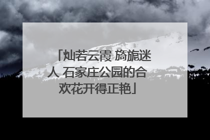 灿若云霞 旖旎迷人 石家庄公园的合欢花开得正艳