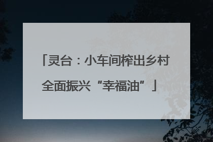 灵台：小车间榨出乡村全面振兴“幸福油”